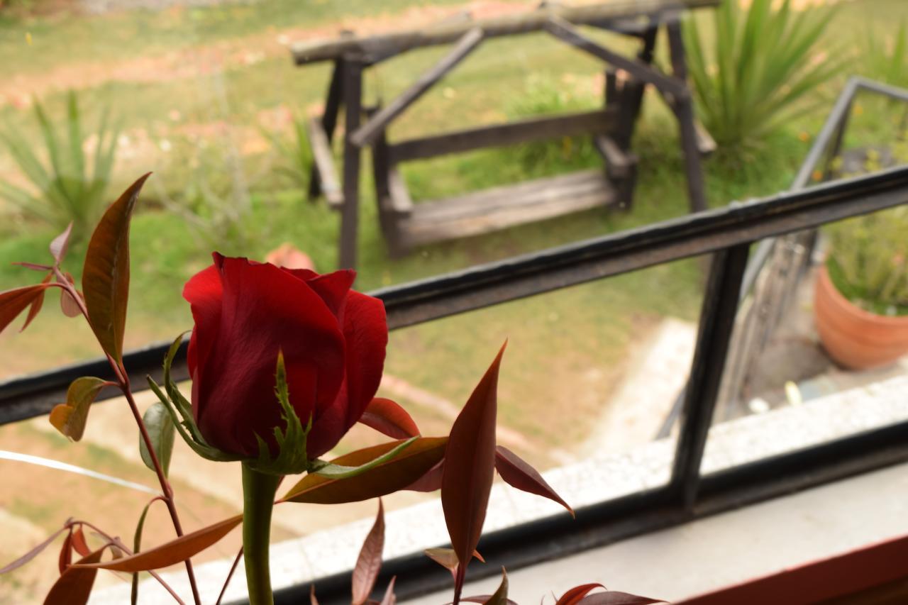 El Pedregal Sopo Bed & Breakfast Bagian luar foto