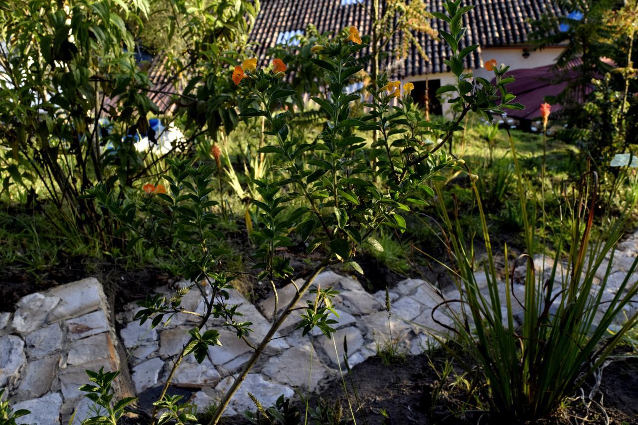 El Pedregal Sopo Bed & Breakfast Bagian luar foto