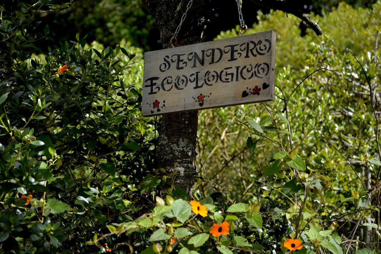 El Pedregal Sopo Bed & Breakfast Bagian luar foto