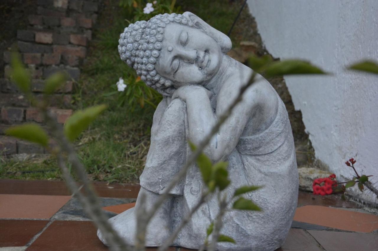El Pedregal Sopo Bed & Breakfast Bagian luar foto